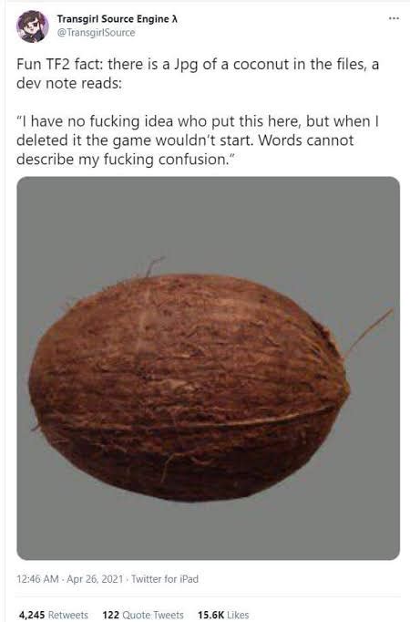 tf2 coconut.jpg|tf2 load bearing coconut.